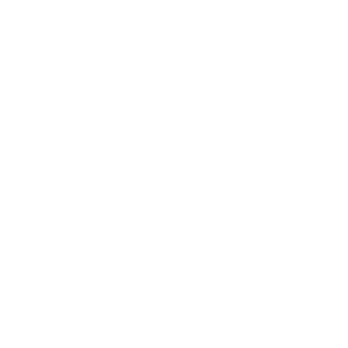  mascotas